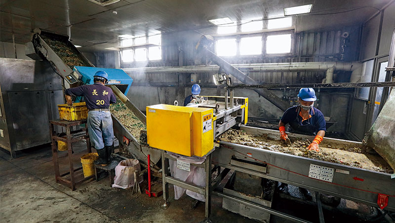 六輕南亞廚餘廠的工人，正用肉眼挑選機器無法剔除的廚餘雜質，他們說常有瓶蓋、菜瓜布甚至菸屁股混在裡面。